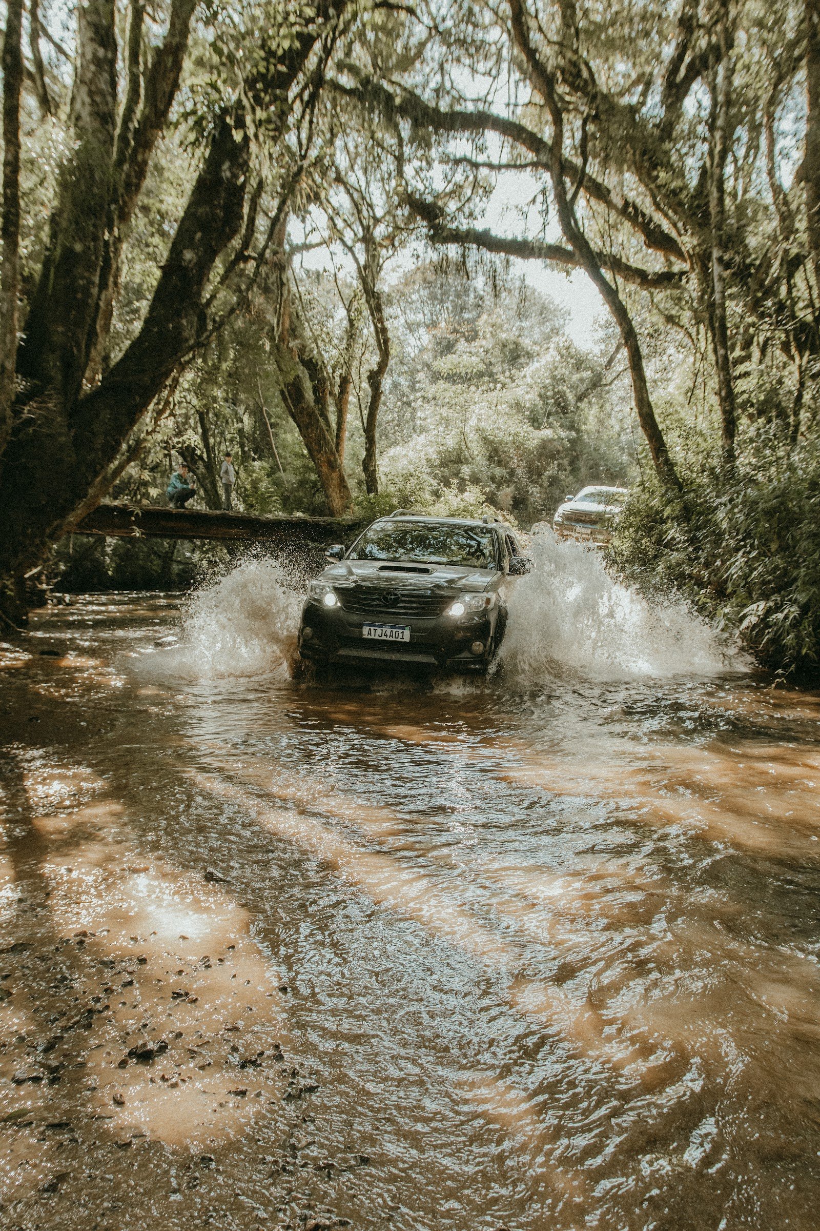 Carro atravessando água em uma trilha entre árvores